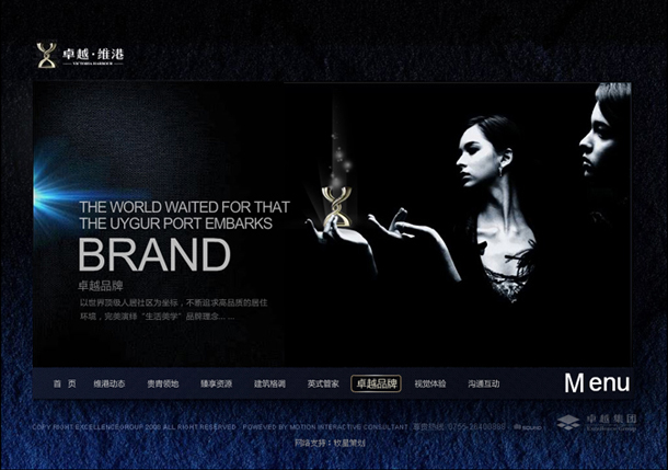 深圳市牧星策劃設(shè)計有限公司卓越維港項目網(wǎng)站 卓越品牌
